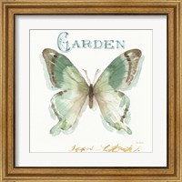 Framed 'My Greenhouse Butterflies III' border=
