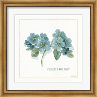 Framed My Greenhouse Forget Me Not