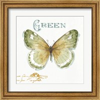 Framed 'My Greenhouse Butterflies IV' border=