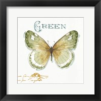 Framed My Greenhouse Butterflies IV
