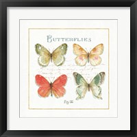 Framed 'Rainbow Seeds Butterflies III' border=