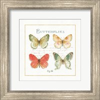 Framed Rainbow Seeds Butterflies III