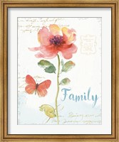Framed Rainbow Seeds Floral IX Family