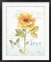 Framed Rainbow Seeds Floral VIII Love