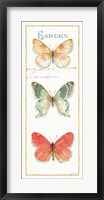 Framed Rainbow Seeds Butterflies II