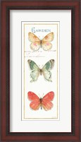 Framed Rainbow Seeds Butterflies II