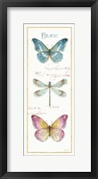 Rainbow Seeds Butterflies I Framed Print