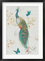 Framed Ornate Peacock IXA