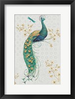 Framed Ornate Peacock IXA