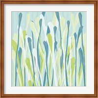 Framed Grasses III