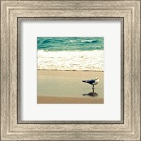 Framed Seagull on Beach