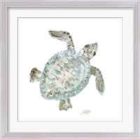 Framed Neutral Turtle I