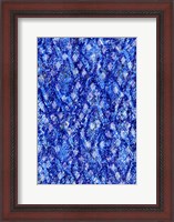 Framed Snake Skin I