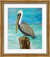 Framed Single Pelican on Post