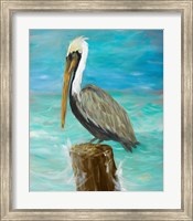 Framed Single Pelican on Post