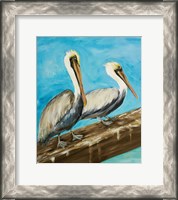 Framed Two Pelicans on Dock Rail