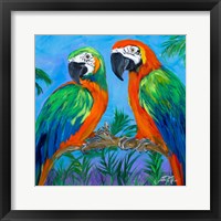 Island Birds Square I Framed Print