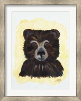 Framed Bear Bear