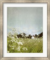 Framed In the Pasture