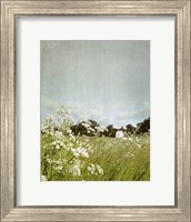 Framed In the Pasture