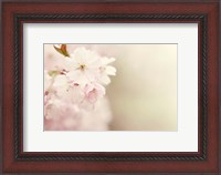 Framed Spring Blossoms