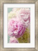 Framed Soft Pink Blooms