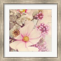 Framed Pink Blossoms II