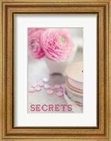 Framed Secrets