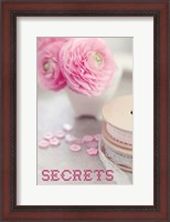 Framed Secrets