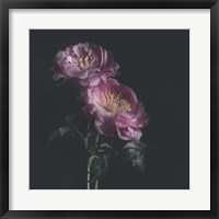 Framed Dark Florals