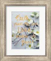 Framed Faith Plants the Seed