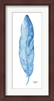Framed Blue Feather