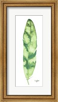 Framed Green Feather