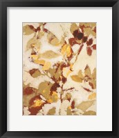 Sun-dazzled Branches I Framed Print