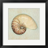 Coastal Treasures III Framed Print