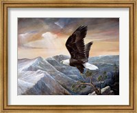 Framed Eagle's Lair