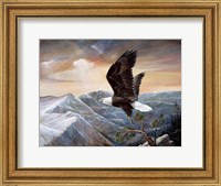 Framed Eagle's Lair