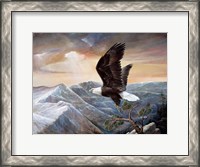 Framed Eagle's Lair