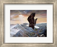Framed Eagle's Lair