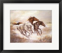 Framed Wild Horses I