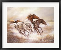 Framed Wild Horses I