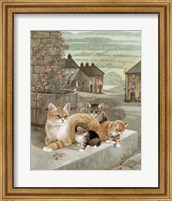 Framed Tea Rose Playtime