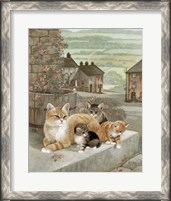 Framed Tea Rose Playtime