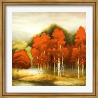 Framed Autumn Birchwood I