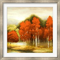 Framed Autumn Birchwood I