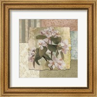 Framed Botanical Blossom