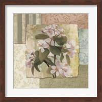 Framed Botanical Blossom