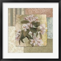 Botanical Blossom Framed Print