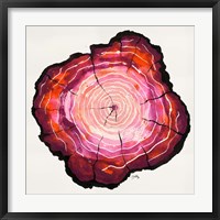 Colored Tree Trunk II Framed Print