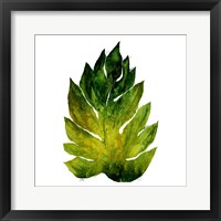 Green Leaves Square I Framed Print